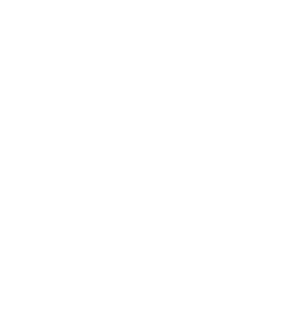 WEMO Groupe